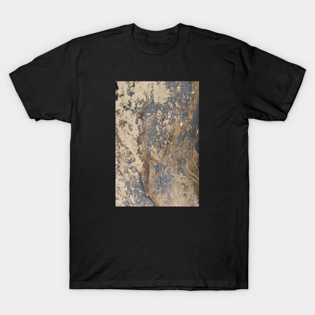 Beach side intimate rock texture T-Shirt by textural